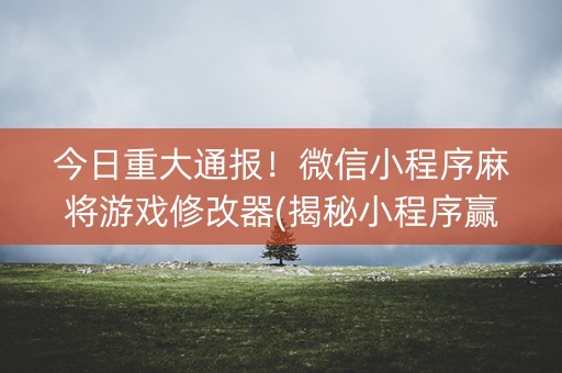 今日重大通报！微信小程序麻将游戏修改器(揭秘小程序赢的诀窍)