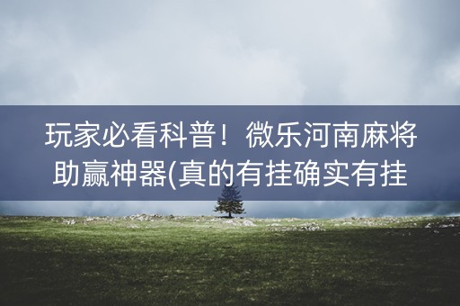 玩家必看科普！微乐河南麻将助赢神器(真的有挂确实有挂)