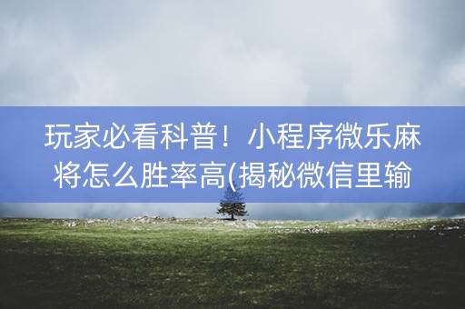 玩家必看科普！小程序微乐麻将怎么胜率高(揭秘微信里输赢规律)