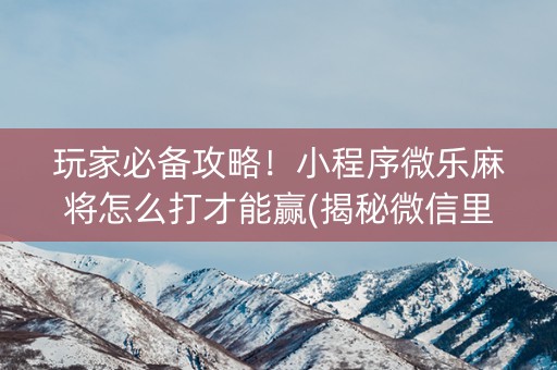 玩家必备攻略！小程序微乐麻将怎么打才能赢(揭秘微信里赢的秘诀)