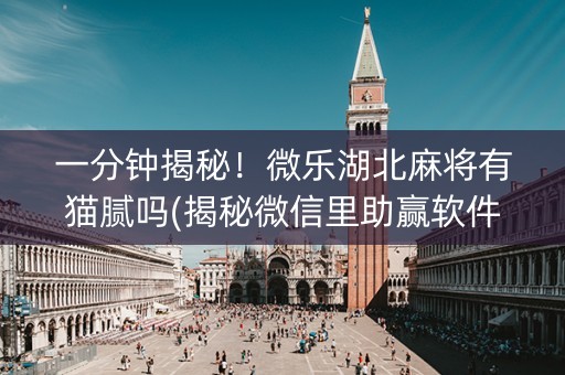 一分钟揭秘！微乐湖北麻将有猫腻吗(揭秘微信里助赢软件)