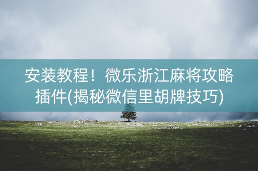 安装教程！微乐浙江麻将攻略插件(揭秘微信里胡牌技巧)