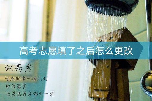 高考志愿填了之后怎么更改