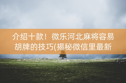 介绍十款！微乐河北麻将容易胡牌的技巧(揭秘微信里最新神器下载)