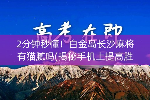 2分钟秒懂！白金岛长沙麻将有猫腻吗(揭秘手机上提高胜率)