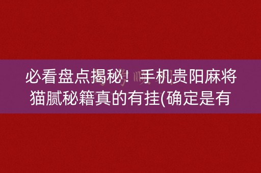 必看盘点揭秘！手机贵阳麻将猫腻秘籍真的有挂(确定是有挂)