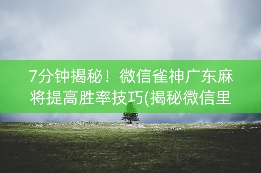 7分钟揭秘！微信雀神广东麻将提高胜率技巧(揭秘微信里自建房怎么赢)