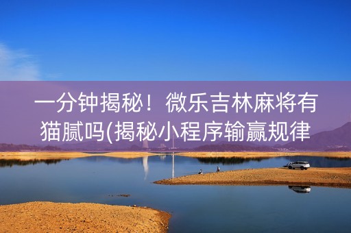 一分钟揭秘！微乐吉林麻将有猫腻吗(揭秘小程序输赢规律)
