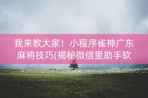 我来教大家！小程序雀神广东麻将技巧(揭秘微信里助手软件)