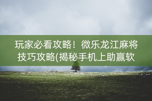 玩家必看攻略！微乐龙江麻将技巧攻略(揭秘手机上助赢软件)