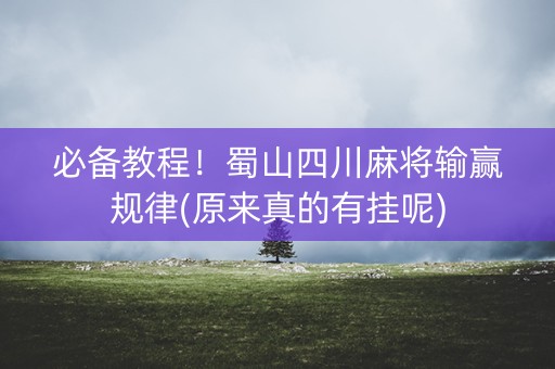 必备教程！蜀山四川麻将输赢规律(原来真的有挂呢)