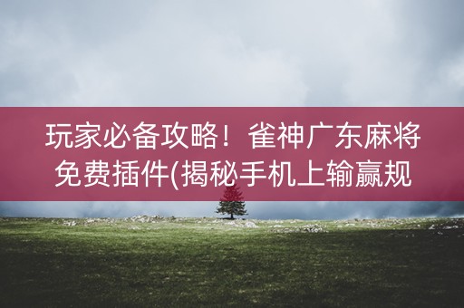 玩家必备攻略！雀神广东麻将免费插件(揭秘手机上输赢规律)