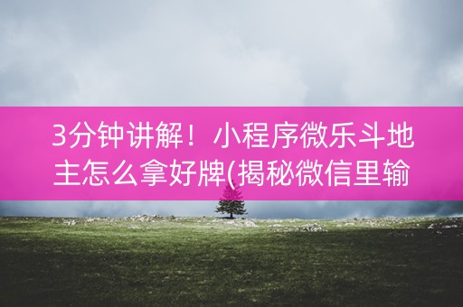 3分钟讲解！小程序微乐斗地主怎么拿好牌(揭秘微信里输赢技巧)