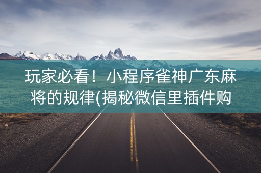 玩家必看！小程序雀神广东麻将的规律(揭秘微信里插件购买)