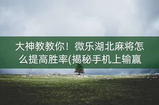 大神教教你！微乐湖北麻将怎么提高胜率(揭秘手机上输赢规律)