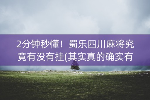 2分钟秒懂！蜀乐四川麻将究竟有没有挂(其实真的确实有挂)