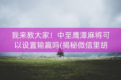 我来教大家！中至鹰潭麻将可以设置输赢吗(揭秘微信里胡牌神器)