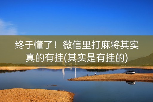 终于懂了！微信里打麻将其实真的有挂(其实是有挂的)