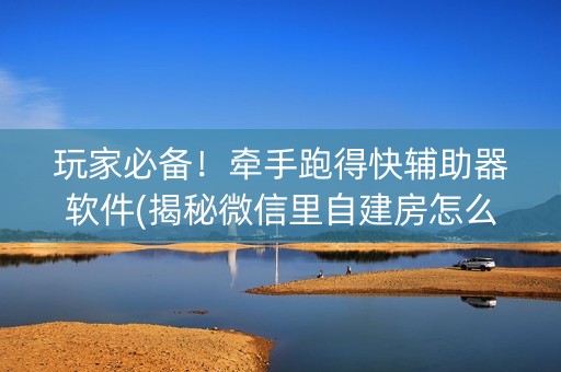 玩家必备！牵手跑得快辅助器软件(揭秘微信里自建房怎么赢)