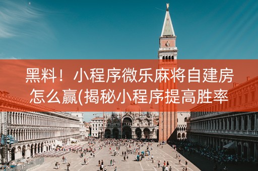 黑料！小程序微乐麻将自建房怎么赢(揭秘小程序提高胜率)