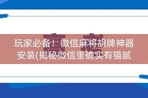 玩家必备！微信麻将胡牌神器安装(揭秘微信里确实有猫腻)