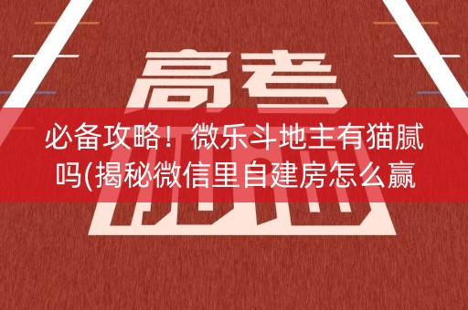 必备攻略！微乐斗地主有猫腻吗(揭秘微信里自建房怎么赢)