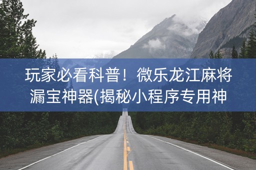 玩家必看科普！微乐龙江麻将漏宝神器(揭秘小程序专用神器)