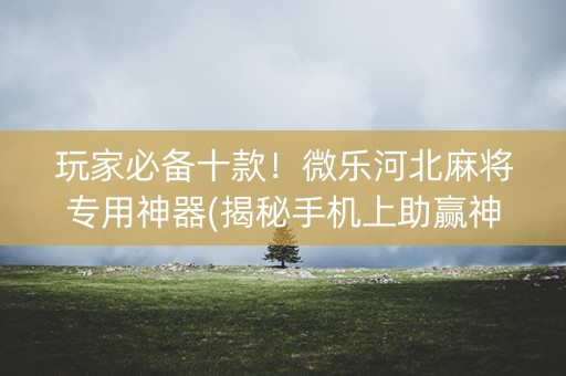 玩家必备十款！微乐河北麻将专用神器(揭秘手机上助赢神器购买)