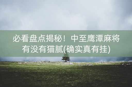 必看盘点揭秘！中至鹰潭麻将有没有猫腻(确实真有挂)