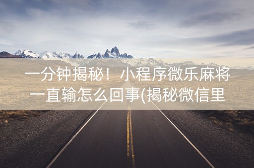 一分钟揭秘！小程序微乐麻将一直输怎么回事(揭秘微信里助手软件)