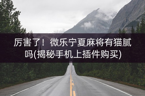 厉害了！微乐宁夏麻将有猫腻吗(揭秘手机上插件购买)
