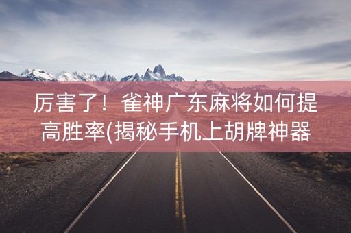 厉害了！雀神广东麻将如何提高胜率(揭秘手机上胡牌神器)