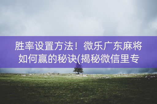 胜率设置方法！微乐广东麻将如何赢的秘诀(揭秘微信里专用神器下载)