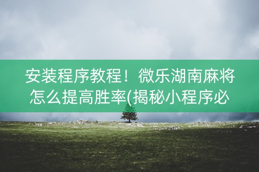 安装程序教程！微乐湖南麻将怎么提高胜率(揭秘小程序必备神器)