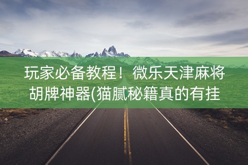 玩家必备教程！微乐天津麻将胡牌神器(猫腻秘籍真的有挂)