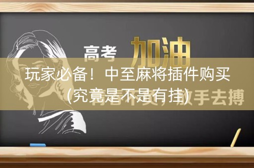 玩家必备！中至麻将插件购买(究竟是不是有挂)