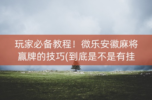 玩家必备教程！微乐安徽麻将赢牌的技巧(到底是不是有挂)