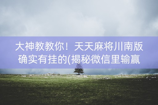 大神教教你！天天麻将川南版确实有挂的(揭秘微信里输赢规律)