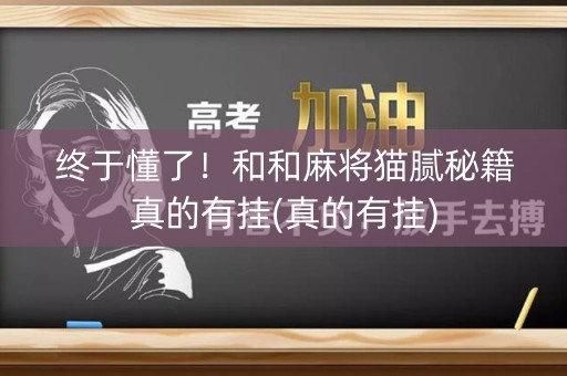 终于懂了！和和麻将猫腻秘籍真的有挂(真的有挂)
