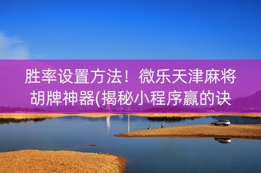 胜率设置方法！微乐天津麻将胡牌神器(揭秘小程序赢的诀窍)