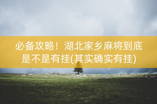 必备攻略！湖北家乡麻将到底是不是有挂(其实确实有挂)