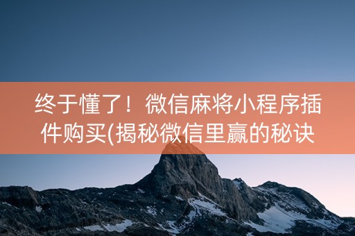 终于懂了！微信麻将小程序插件购买(揭秘微信里赢的秘诀)