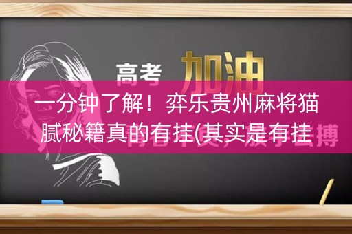 一分钟了解！弈乐贵州麻将猫腻秘籍真的有挂(其实是有挂的)