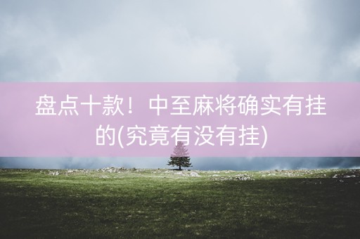 盘点十款！中至麻将确实有挂的(究竟有没有挂)