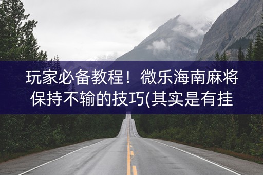 玩家必备教程！微乐海南麻将保持不输的技巧(其实是有挂确实有挂)