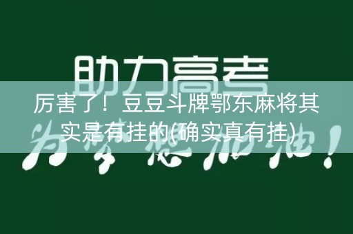厉害了！豆豆斗牌鄂东麻将其实是有挂的(确实真有挂)