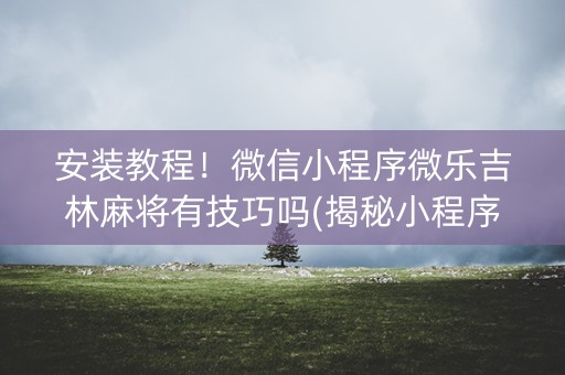 安装教程！微信小程序微乐吉林麻将有技巧吗(揭秘小程序辅牌器)