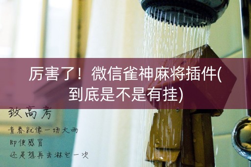 厉害了！微信雀神麻将插件(到底是不是有挂)