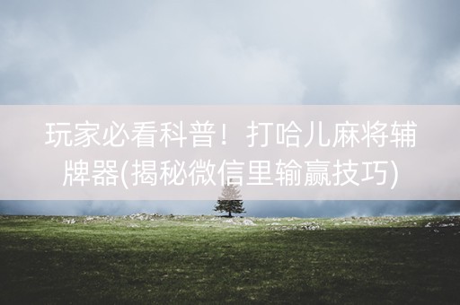 玩家必看科普！打哈儿麻将辅牌器(揭秘微信里输赢技巧)
