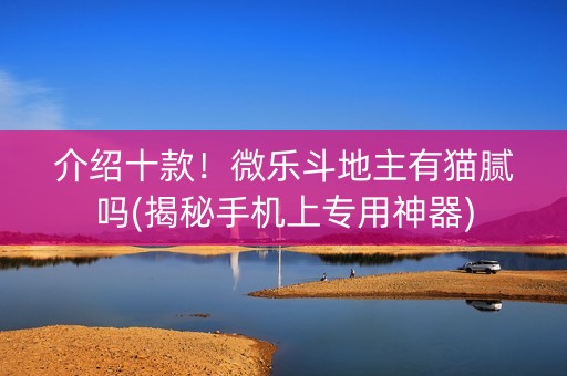 介绍十款！微乐斗地主有猫腻吗(揭秘手机上专用神器)